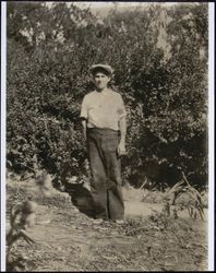 Jack W. Dei at thirteen years, Bodega, California, 1929