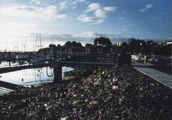 Dock and boats at Spud Point Marina, Bodega Bay, California, 1985