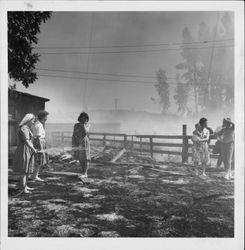 Women and an infant at a grass fire on a Petaluma-area ranch, 1950s