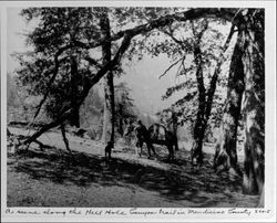 Scene along the Hell Hole Canyon trail in Mendicino [sic] County