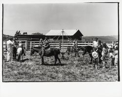 G.K. Hardt employee picnic, Santa Rosa, California, 1958