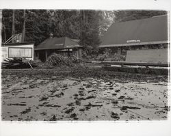 Aftermath of the flood at Guernewood Bowl, Guerneville, California, 1940