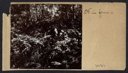 Women in the woods near the Taylor Ranch