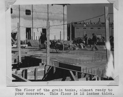 Floor of the grain tanks at Poultry Producers of Central California Petaluma mill under construction, about 1937