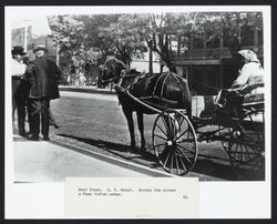 Pomo woman sitting in a horse and buggy on West Street, Cloverdale, Calif