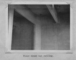 Floor beams and ceiling at the Poultry Producers of Central California feed mill , Petaluma, California, about 1938