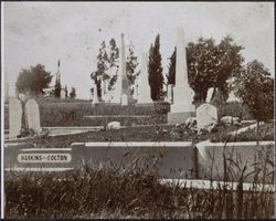 View of Haskins-Colton cemetery plot, 430 Magnolia Avenue, Petaluma, California, between 1890 and 1900