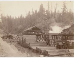 Sawmill in the Occidental region of Sonoma County, early 1900s