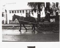 Horse and buggy on street of Guerneville after the flood