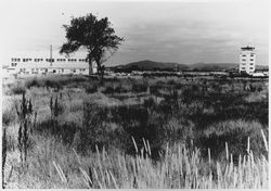 Control tower and hanger at the Sonoma County Airport, 1973