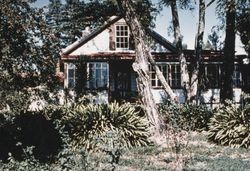 Cottage at Jack London's ranch