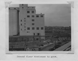 Second story of the new Poultry Producers of Central California feed mill warehouse, Petaluma, California, under construction, 1938