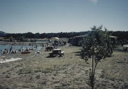 Swimmers enjoying Spring Lake Park