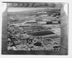 Aerial view of Rohnert Seed Farm between Cotati and Santa Rosa, California, July 15, 1955