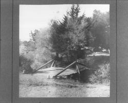 Bridge on Kawana Springs Road