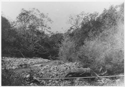 Sonoma Creek near Glen Ellen