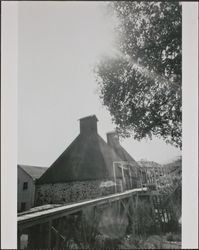 Hop kilns in Dry Creek or Alexander Valley, Sonoma County, California, early 1900s