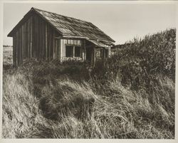 Unidentified, abandoned, one-room, wooden building