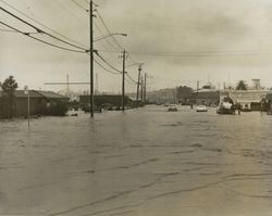 Petaluma flood of 1965, Old Lakeville Road, Petaluma, California