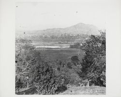 Looking toward Fitch Mountain, Healdsburg, California, 1872