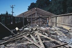 Chicken house partially demolished at the corner of Jewell and Leland Avenues in Sebastopol, Calif., Aug. 1978