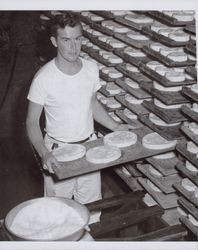 Ernest Lichau working at the Marin French Cheese Company, 7500 Red Hill Road, Petaluma, California, in the 1950s