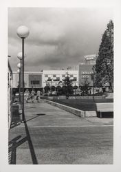 Looking across Courthouse Square to Fourth Street, Santa Rosa , California, 1968