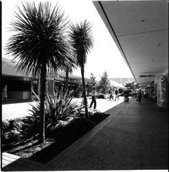 Exterior scenes at Coddingtown Shopping Center, Santa Rosa, California, May 26, 1971