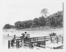 Rodeo at Palomino Lakes, Cloverdale, California, 1963