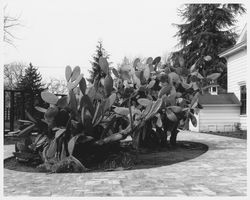 View of Burbank Gardens