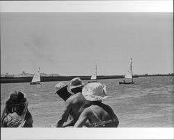 Sailboat race on the Petaluma River on July 28, 1973