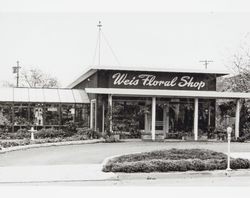 Weis Floral Shop, Petaluma, California, about 1954