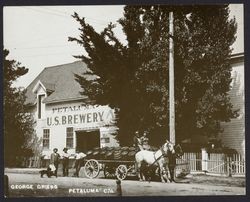 Petaluma, California's U.S. Brewery, George Griess, proprietor, Petaluma, California, 1905