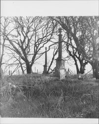 View of Canfield Cemetery, Bloomfield, California, 1973