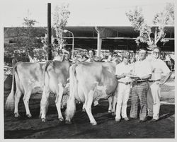 Dairy winners Henry Giacomini (Ferndale), Dick Gray, Henry LaFranchi and three unidentified men at the Sonoma County Fair, Santa Rosa, California