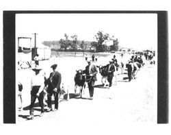 Stock parade at Kenilworth Park during Egg-Day and Exhibition, Petaluma, California, 1923