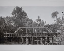 Construction of new Dry Creek Bridge, Dry Creek Valley, Healdsburg, California, 1951