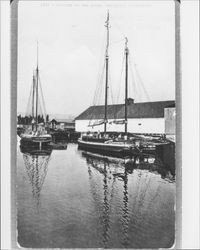 Sunrise on the river, Petaluma, California, , 1917