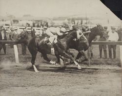 Race photo finish at the Sonoma County Fair Racetrack, Santa Rosa, California