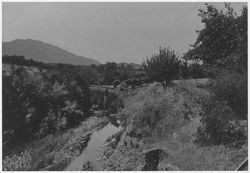 Sonoma Creek near Glen Ellen