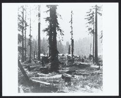 Guerneville and vicinity--view of part of town, looking south