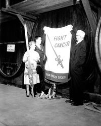 American Cancer Society flag and sword displayed at the Fountain Grove Ranch, Santa Rosa , California, 1962