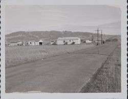 Intersection of Scenic Avenue and Langner Avenue, Santa Rosa, California, January 26, 1958