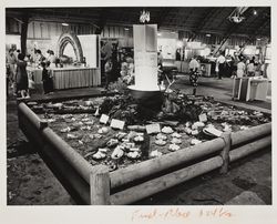 Alpine Improvement Club exhibit at the Sonoma County Fair, Santa Rosa, California, July 19, 1967