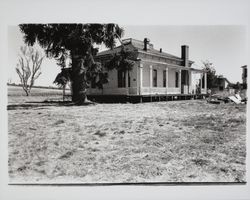 Bihler Ranch, Petaluma, California, 1995