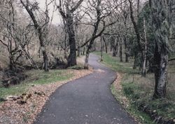 Trail in Spring Lake Park