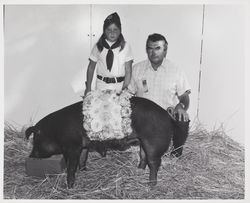 4H Reserve Grand Champion Duroc Market hog at the Sonoma County Fair, Santa Rosa, California, 1975