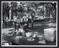 Picnic at Howarth Park, Santa Rosa, California, 1970