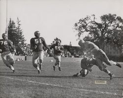 Run play during Petaluma Leghorn game against San Jose