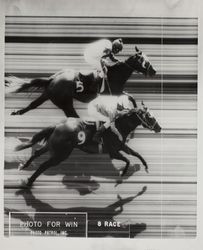 Finish photo for harness racing win at the Sonoma County Fair, Santa Rosa, California, 1969